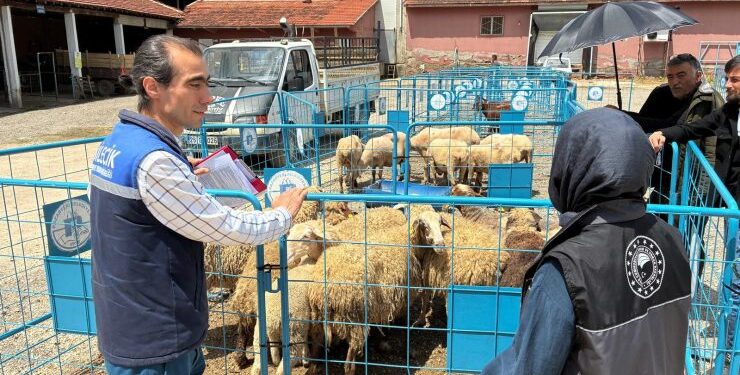 Kurban Bayramı Öncesi Pazaryeri’nde Sıkı Denetim