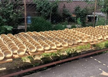 Kınık’ta 150 Yıllık Miras Güneşle Buluştu