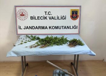 ORMANLIK ARAZİDE KENEVİR EKİMİ YAPAN ŞAHIS EKTİKLERİ SULARKEN YAKALANDI